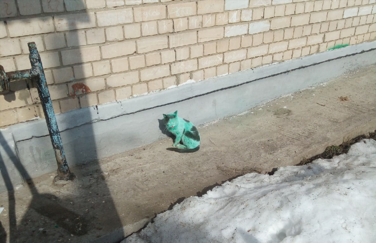 Дзержинск онлайн вк