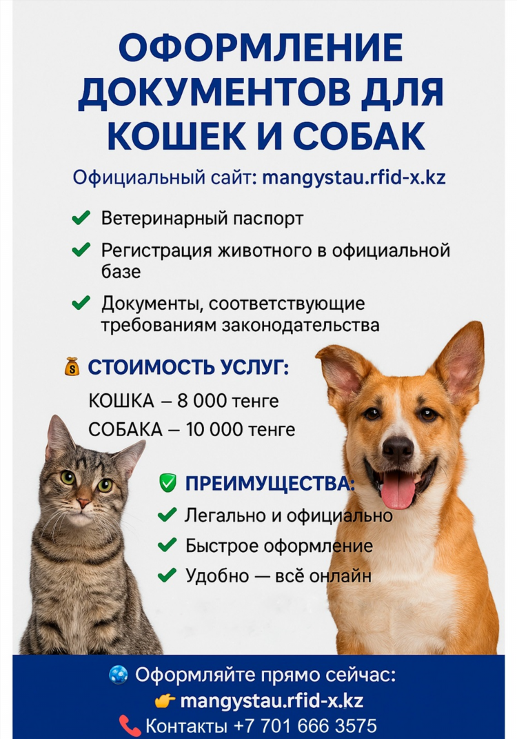 Какой сайт знакомств сейчас популярный в россии