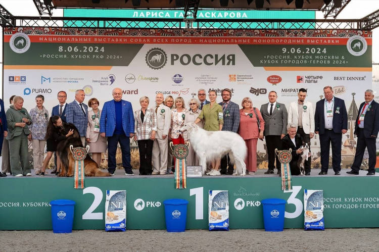 Мамба липецк знакомства
