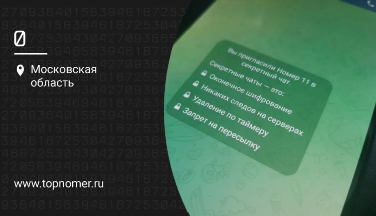 Общение тг чат