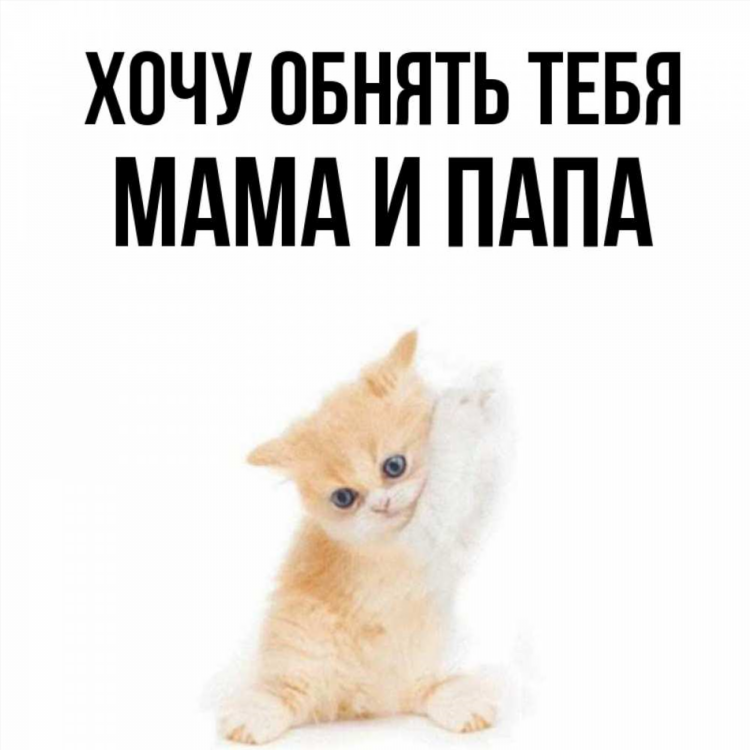 Папа мама знакомства