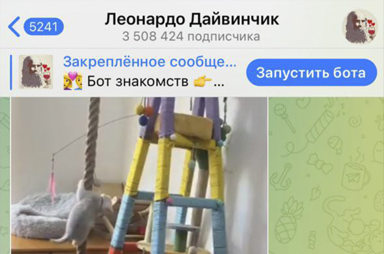 Сайт знакомств беларусь бесплатно
