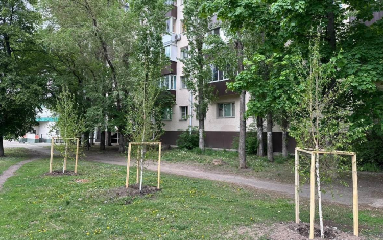 Сайт знакомств в воронеже для серьезных отношений
