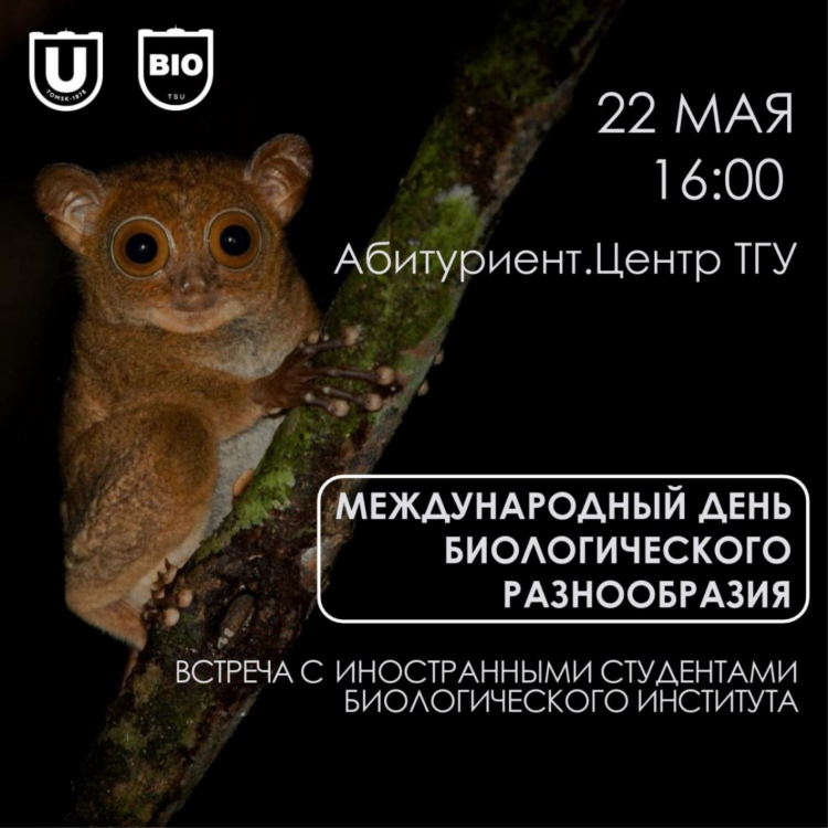 Знакомства омск без регистрации
