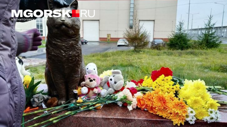 Знакомства в северодвинске без регистрации бесплатно с женщинами